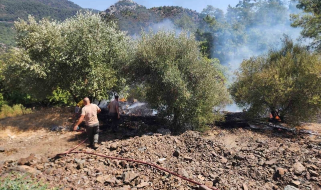 Marmaris'teki orman yangını büyümeden söndürüldü
