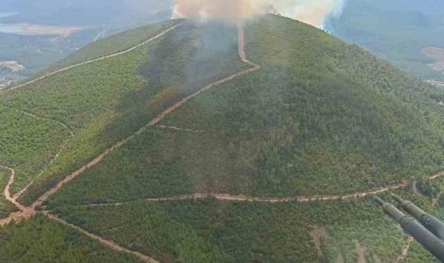 Menderes'te orman yangını