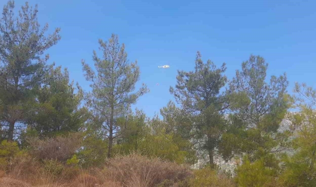 Mersin Bozyazı'da orman yangınına ekipler havadan ve karadan müdahale ediyor