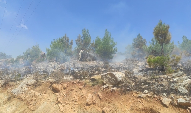 Mersin'de 4 ayrı noktada çıkan orman yangınları söndürüldü