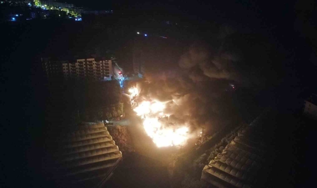 Mersin'de limon paketleme tesisinde yangın