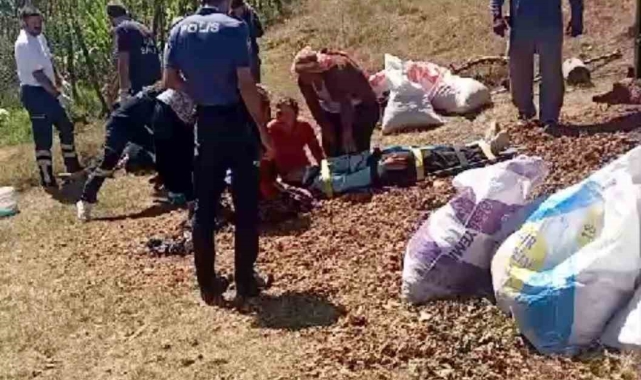 Mevsimlik tarım işçilerini taşıyan traktör devrildi: 13 yaralı