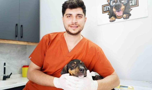 Mikroçip uygulaması evcil hayvan sahiplerine sorumluluk aşılıyor