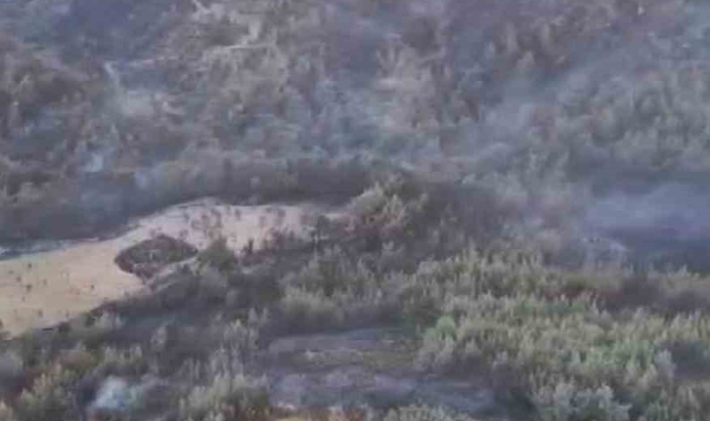 Milas yangını kontrol altında