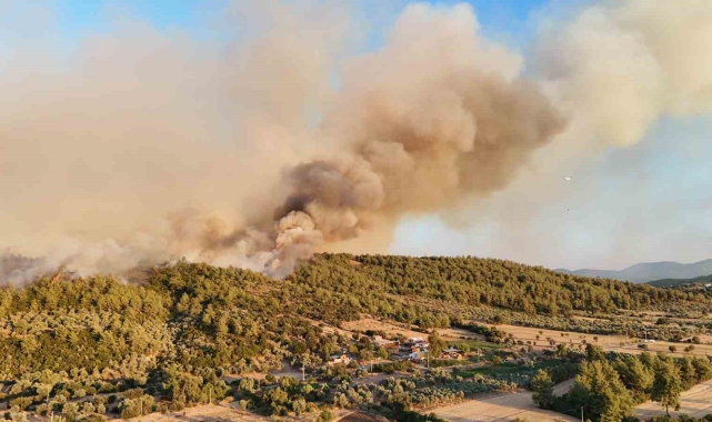 Milas'taki orman yangınına müdahale sürüyor
