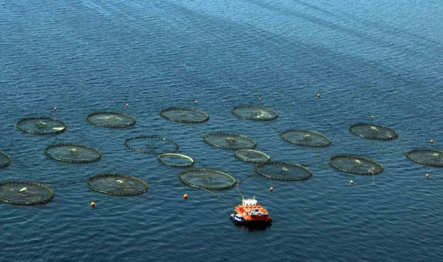 Muğla, Temmuz'da 91 milyon dolarlık ihracat ile Ege'de 4'üncü sırada yer aldı