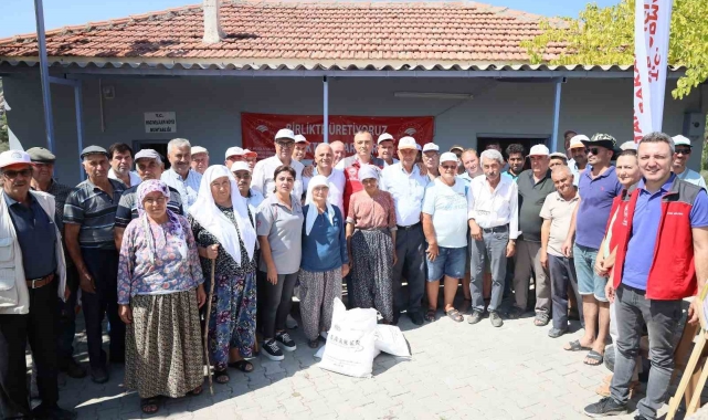 Muğla'da zeytin üreticilerine ücretsiz kaolin kili dağıtılıyor