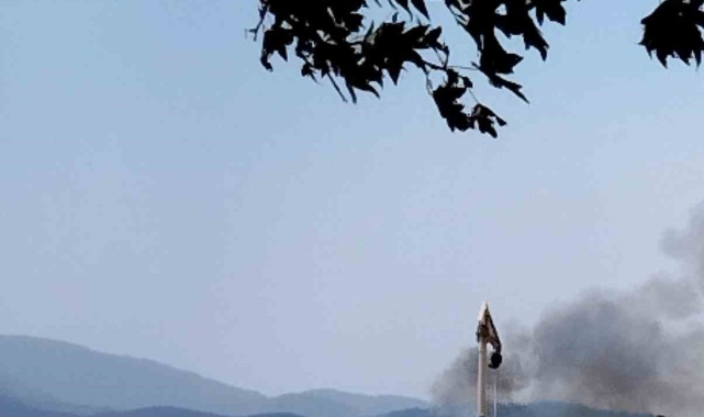 Muğla'daki sazlık yangını söndürüldü