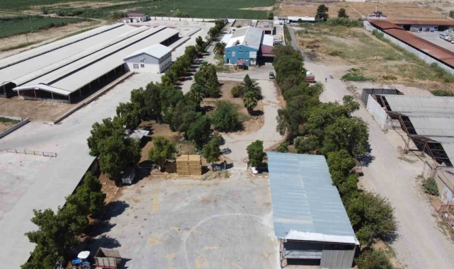 Nazilli Belediye Mezbahası'nda yeni dönem