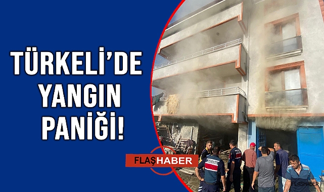 ODUNLUKTA ÇIKAN YANGIN PANİK YARATTI!
