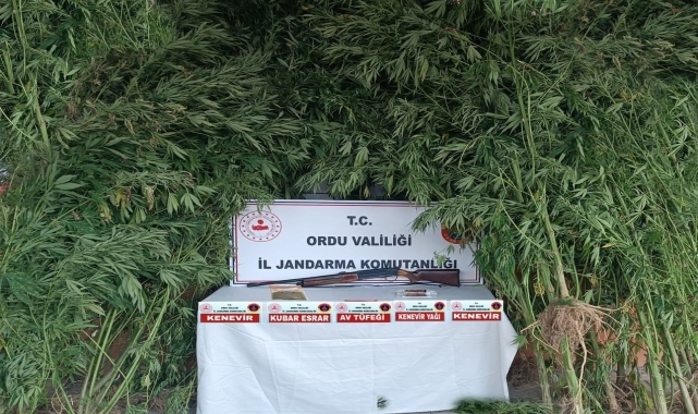 Ordu'da uyuşturucu operasyonunda bir kişi yakalandı