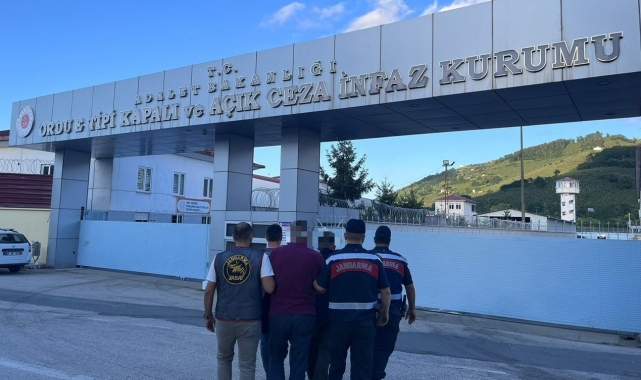 Ordu'da yasa dışı kenevir ekimi yapan 2 kişi tutuklandı