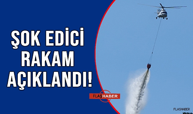 ORMAN YANGINLARINDA KORKUNÇ ARTIŞ!