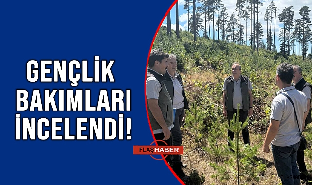 ORMANLAR İNCELENDİ!