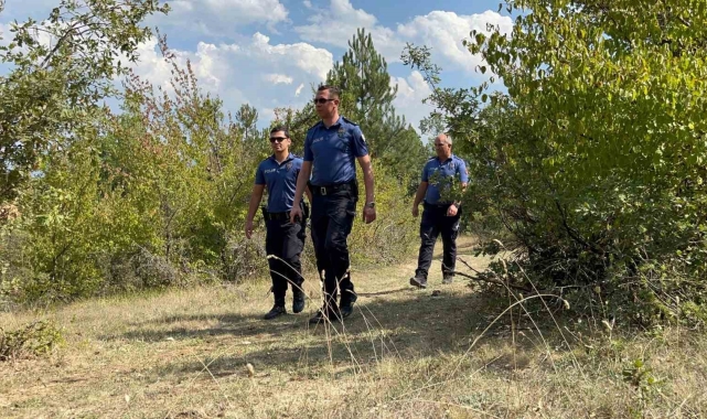 Ormanlara giriş yasağı olan Bolu'da polis ekiplerinden habersiz kuş uçmuyor