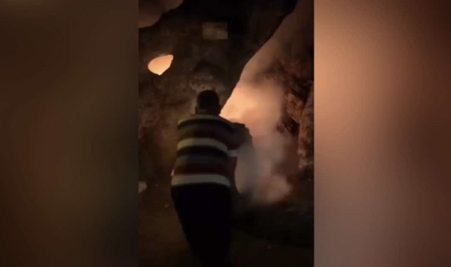 Osmaniye'de tarihi çınar ağacı içten içe yandı