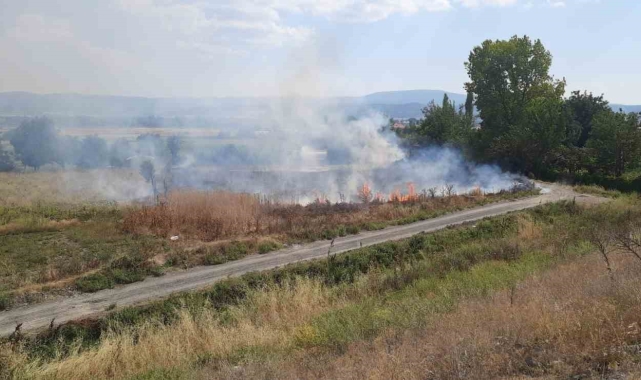 Otluk alanda çıkan yangın korkuttu