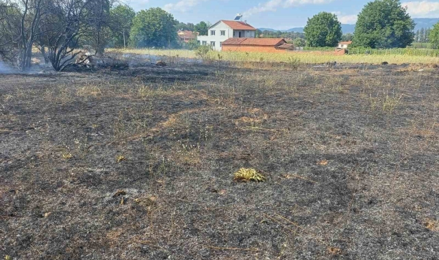 Pazaryeri&#039;nde çıkan arazi yangını korkuttu