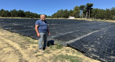 Safranbolu'da safranın erken çiçek açması için örtü yöntemi uygulandı