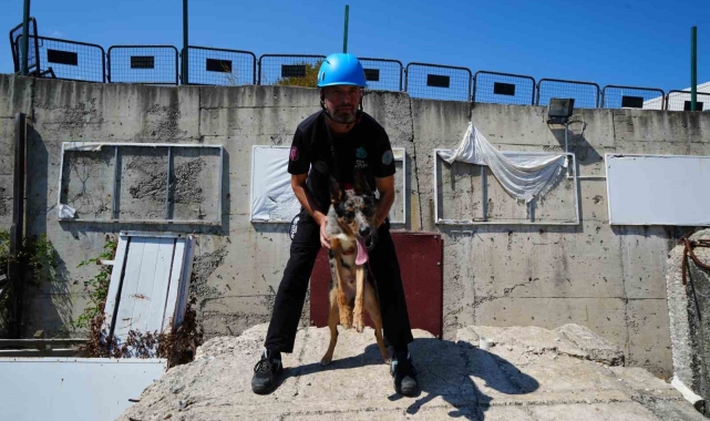 Sağlık Bakanlığı'nın ilk arama-kurtarma köpeği 'Shollie' afetlere Samsun'da hazırlanıyor