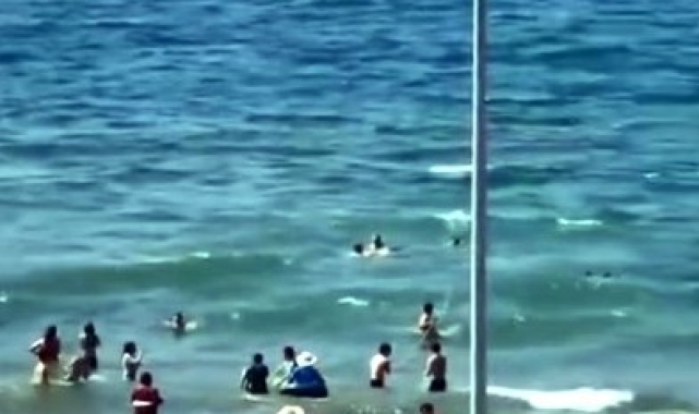 Sahilde büyük panik