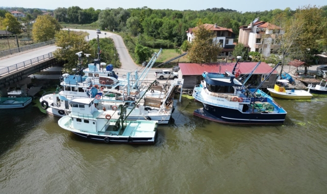 Sakarya'da balıkçılar 'Vira Bismillah' demeye hazır: "Palamut bu sene yüz güldürecek"