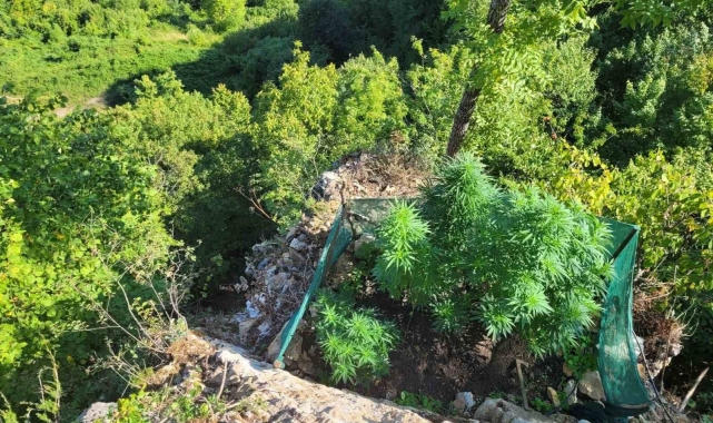 Sakarya'da jandarmadan uyuşturucu operasyonları: 6 tutuklama