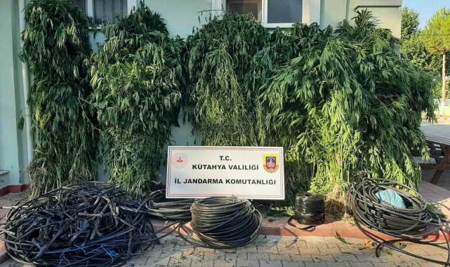 Simav'da uyuşturucu operasyonu: 4 şüpheli gözaltına alındı