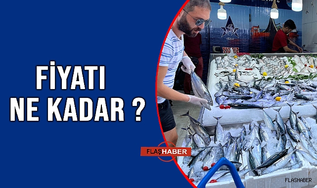 SİNOP PALAMUTU TEZGAHTA!