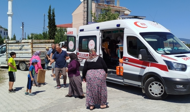 Sinop'ta kamyonetin çarptığı kadın tedavi gördüğü hastanede öldü
