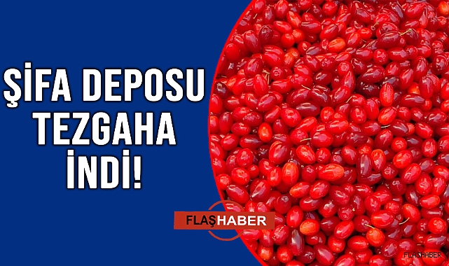 SİNOP’TA KIZILCIK ZAMANI!