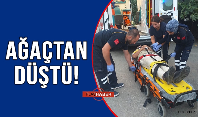SİNOP'TA YÜKSEKTEN DÜŞME!