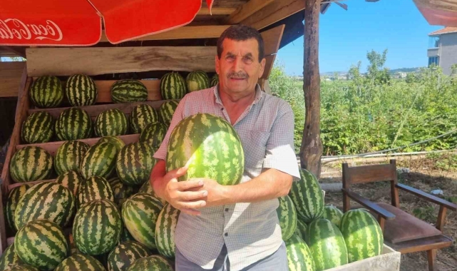 Sinoplu karpuz üreticisinin yüzü gülüyor