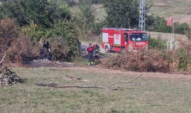 Sinop'ta otların yakılması paniğe neden oldu