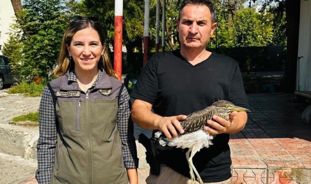 Şırnak'ta 'gece balıkçılı' kuşu tedavi altına alındı