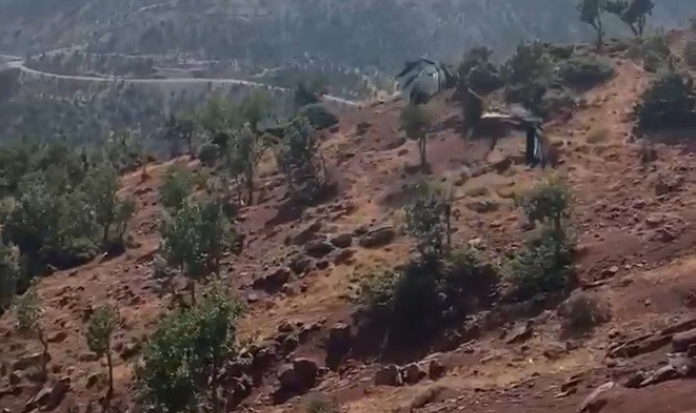 Şırnak'ta tedavi edilen kaya kartalı yaşam alanına bırakıldı