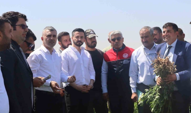 Şırnak'ta yerfıstığı üreticilerine teorik ve uygulamalı eğitim verildi