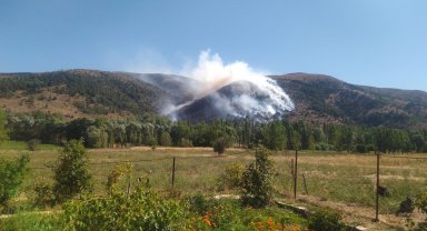 Sivas'ta ormanlık alanda yangın çıktı