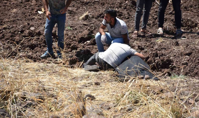 Siverek'te otomobil şarampole devrildi: 1 ölü, 3 yaralı