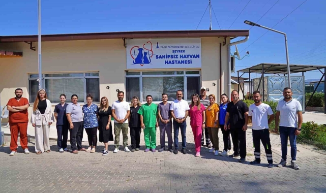 Sokak hayvanları bu hastanede şifa buluyor