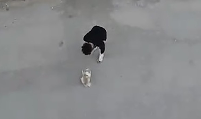 Sokak ortasında köpeğine eziyet eden şahıs sevk edildiği mahkemece serbest bırakıldı