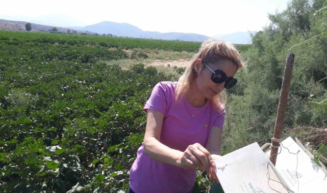 Söke'de tuzak kontrolleri yapıldı