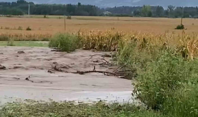 Su kanalı patladı, tarım arazileri su altında kaldı
