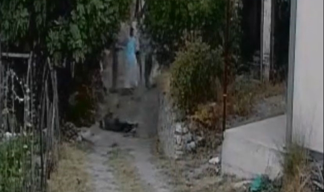 Sürü sahibini ıskalayınca araya giren çobanı öldürdü