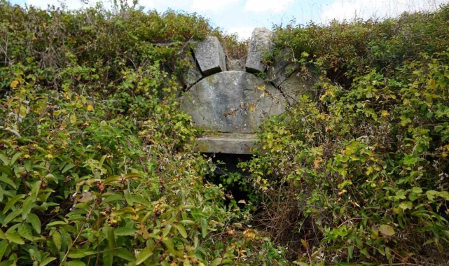 Tarih çalılıkların arasında kayboldu