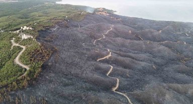 Tarihi Alan'daki orman yangınında 980 futbol sahası büyüklüğünde yer etkilendi