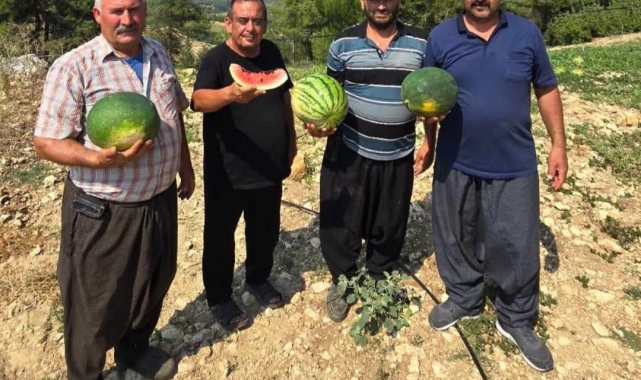 Tarsus'ta yerli tohuma ve üretime dönüş için çağrı