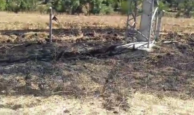 Tavşanlı'da kuşun sebep olduğu yangın söndürüldü