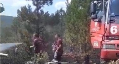 Tavşanlı'da orman yangını