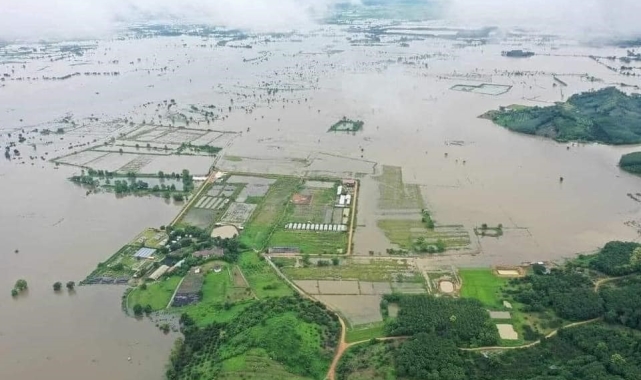 Tayland'da sel ve toprak kayması: 22 ölü, 19 yaralı